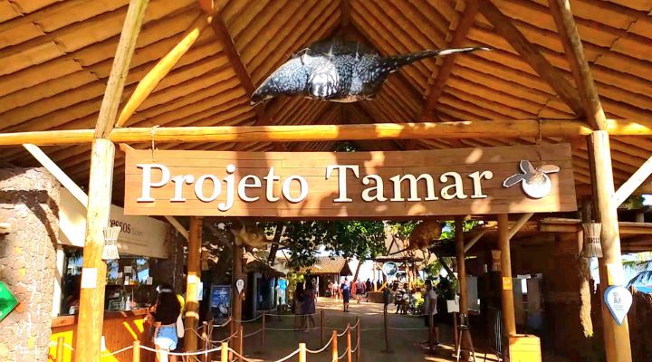 Projeto Tamar na Praia do Forte - Bahia